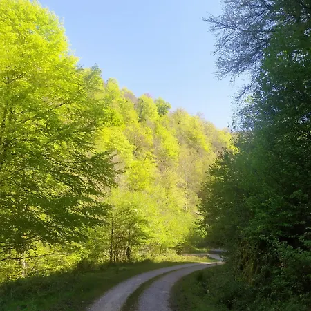 Casona De Gomez Y Teran