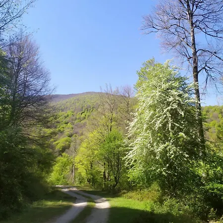 Casona De Gomez Y Teran Alpehytte Renedo De Cabuerniga
