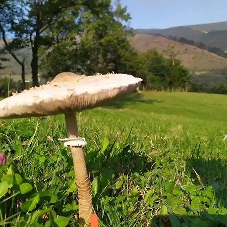 Casona De Gomez Y Teran Renedo De Cabuerniga