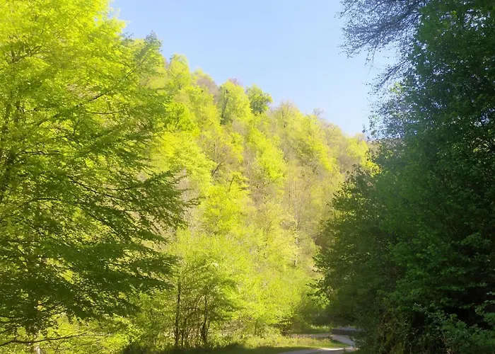 Casona De Gomez Y Teran