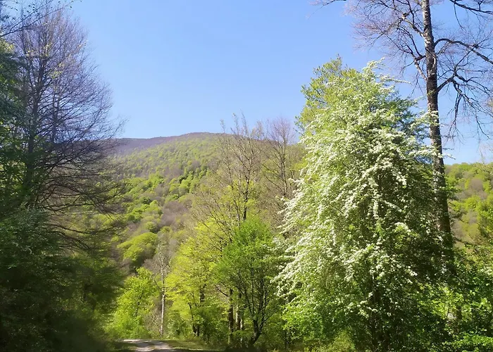 Casona De Gomez Y Teran Alpesi faház Renedo De Cabuerniga