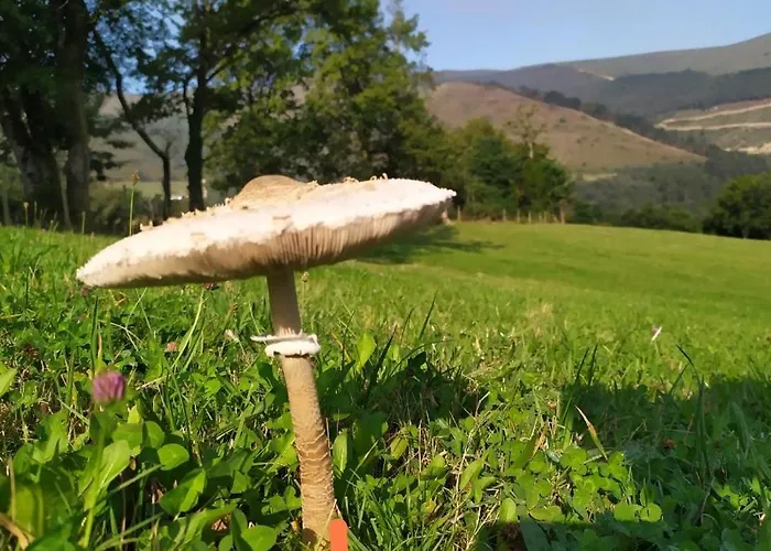 Casona De Gomez Y Teran Renedo De Cabuerniga